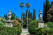 Palms in the botanical garden