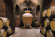 cantina in villa bibbiani