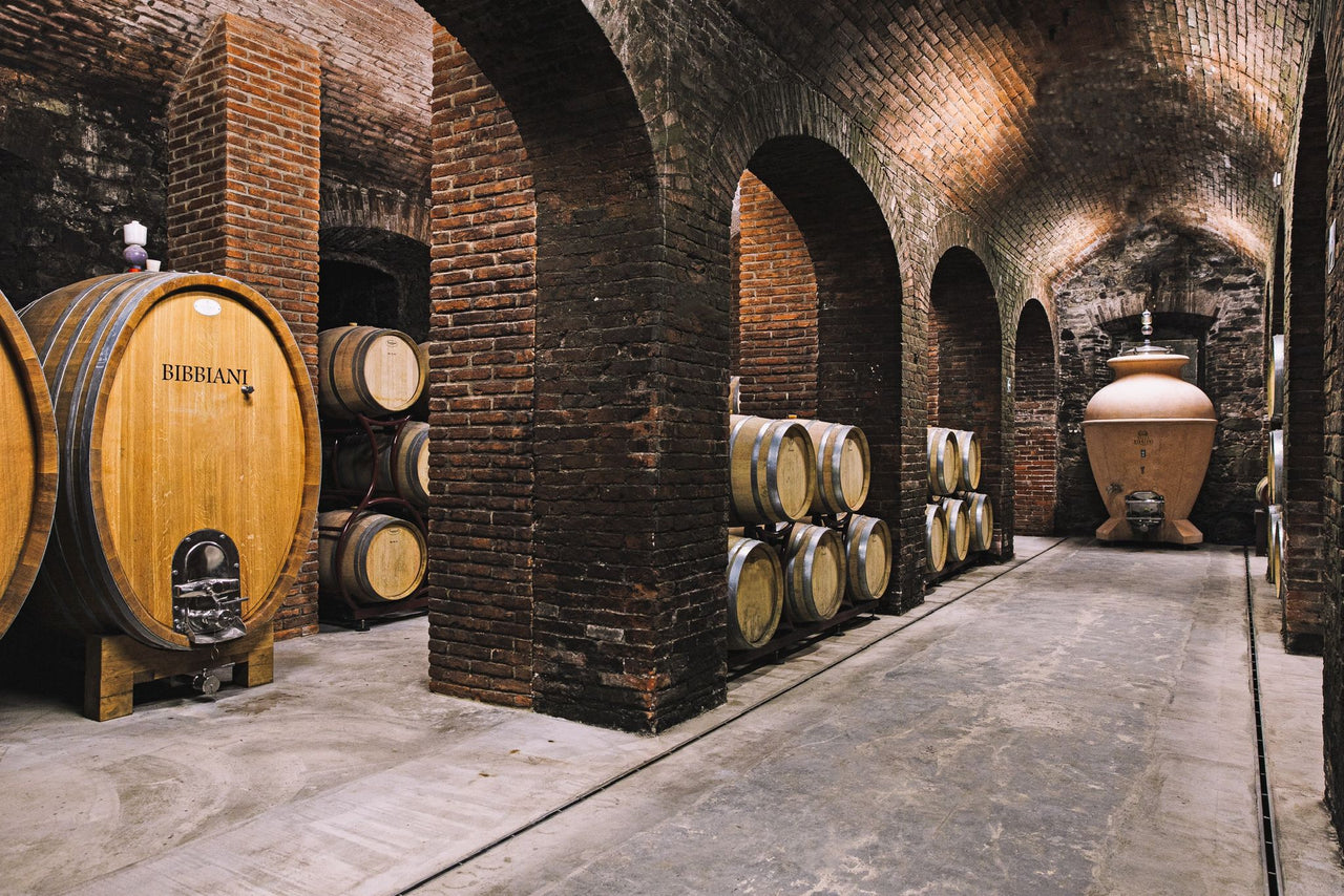 cellar in villa bibbiani